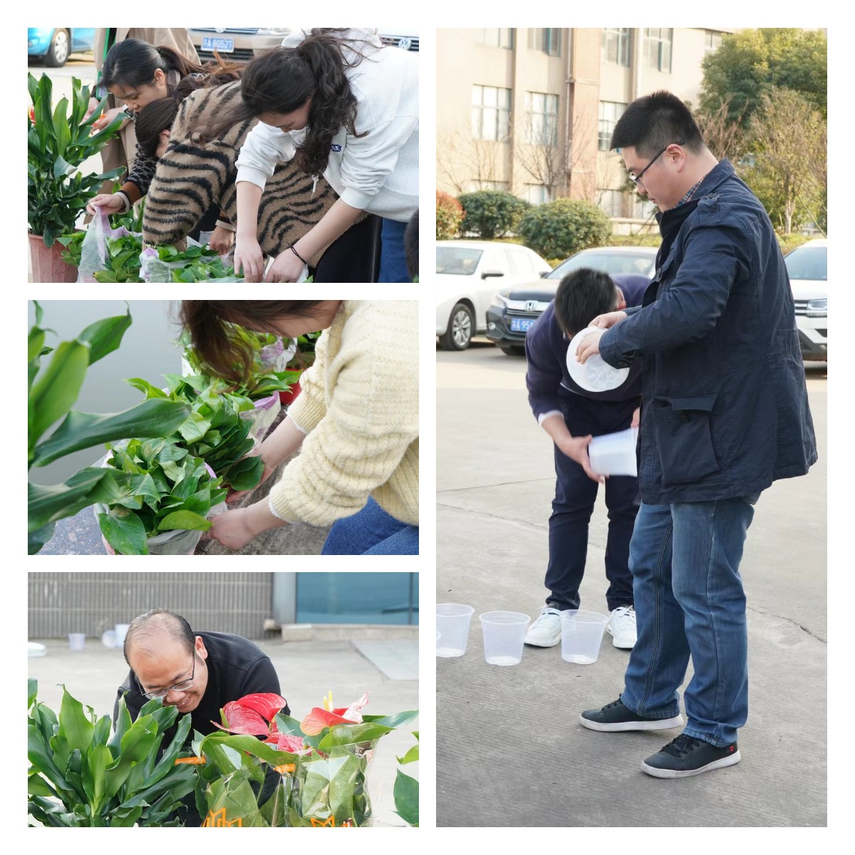 2022植樹節(jié)美化泰通家園行動